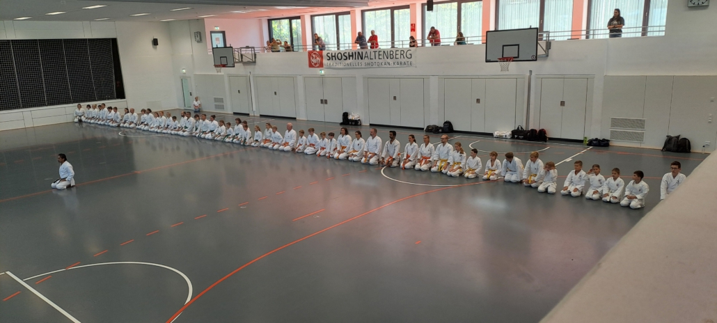 20250920_110344 Seiza